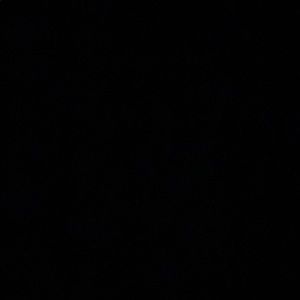 Meet your Posher, Brookelynn